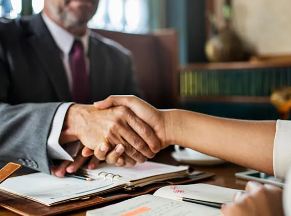 鲸鱼体育